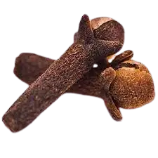 Whole Cloves for Culinary Use