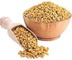 Organic Fenugreek Seeds Export