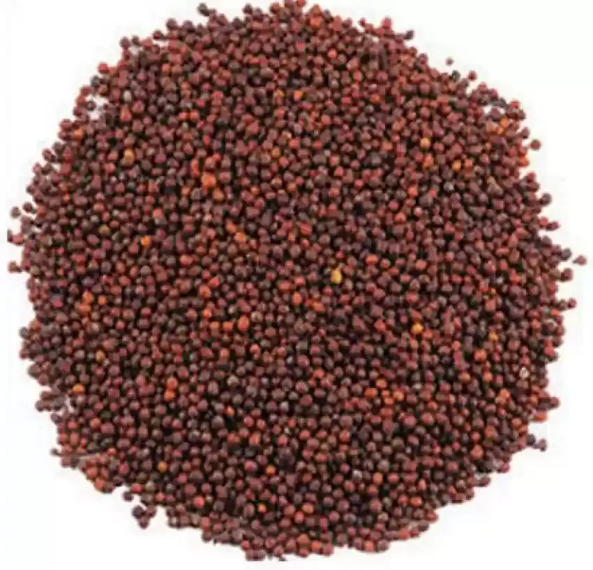 Yellow Mustard Seeds Export Grade